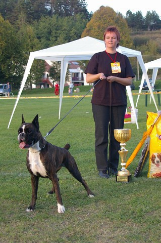 www.boxer-show.eu